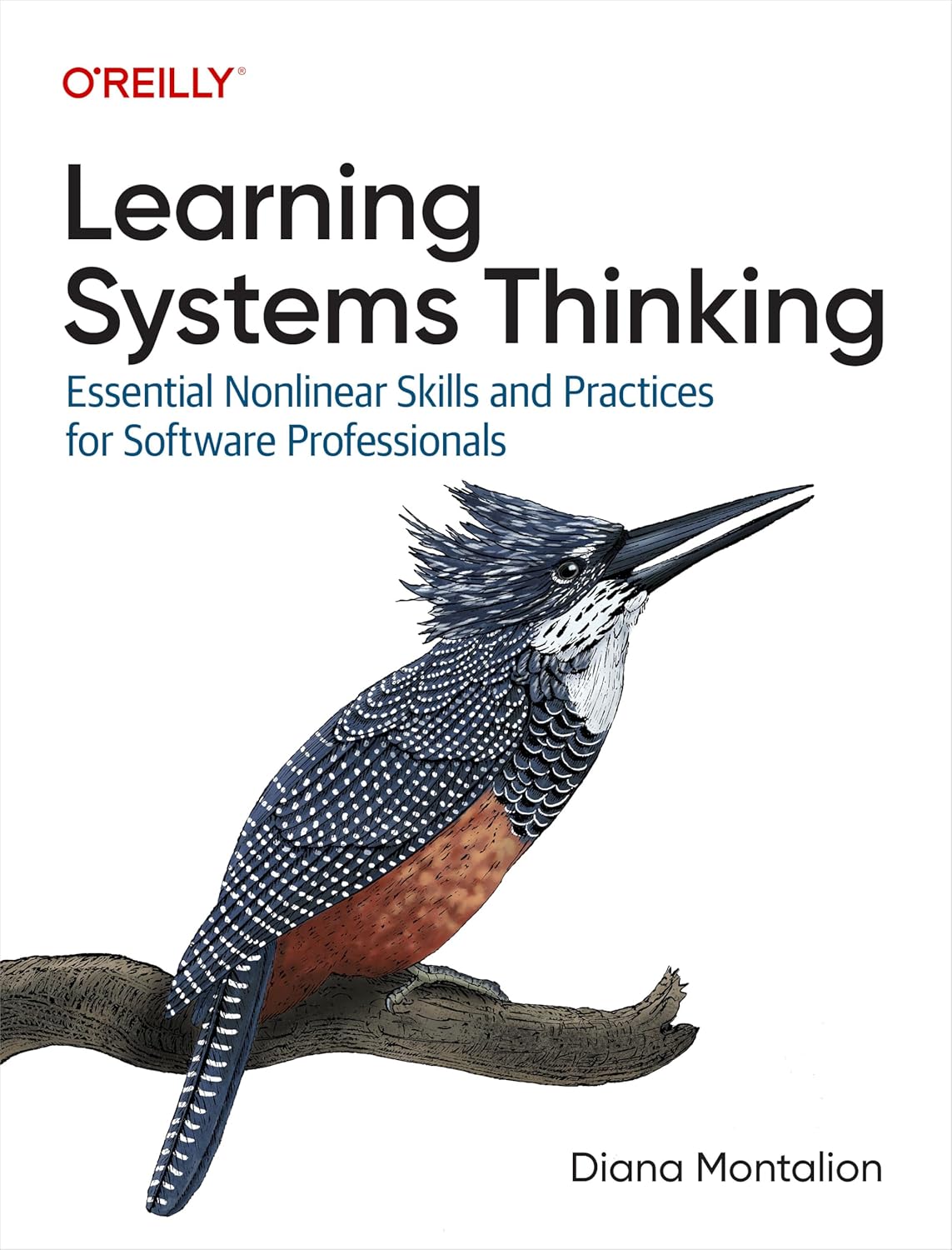 Learning Systems Thinking: Essential Nonlinear Skills and Practices for Software Professionals cover